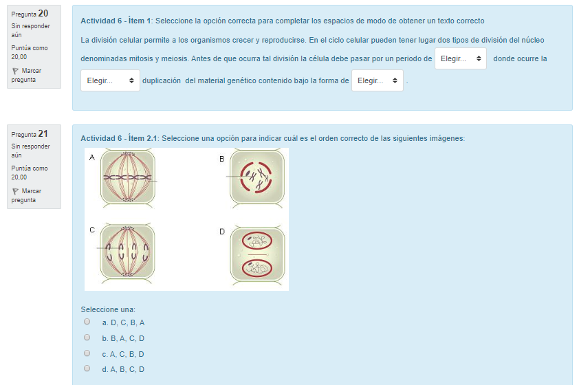 captura de pantalla que muestra un ejemplo_de_item de cuestionario con_imágenes